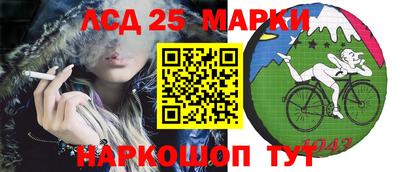 Альфа ПВП Шебекино