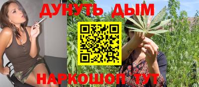 прущие крисы Шахты