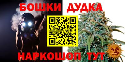 прущие крисы Шахты