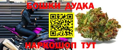 прущие крисы Шахты