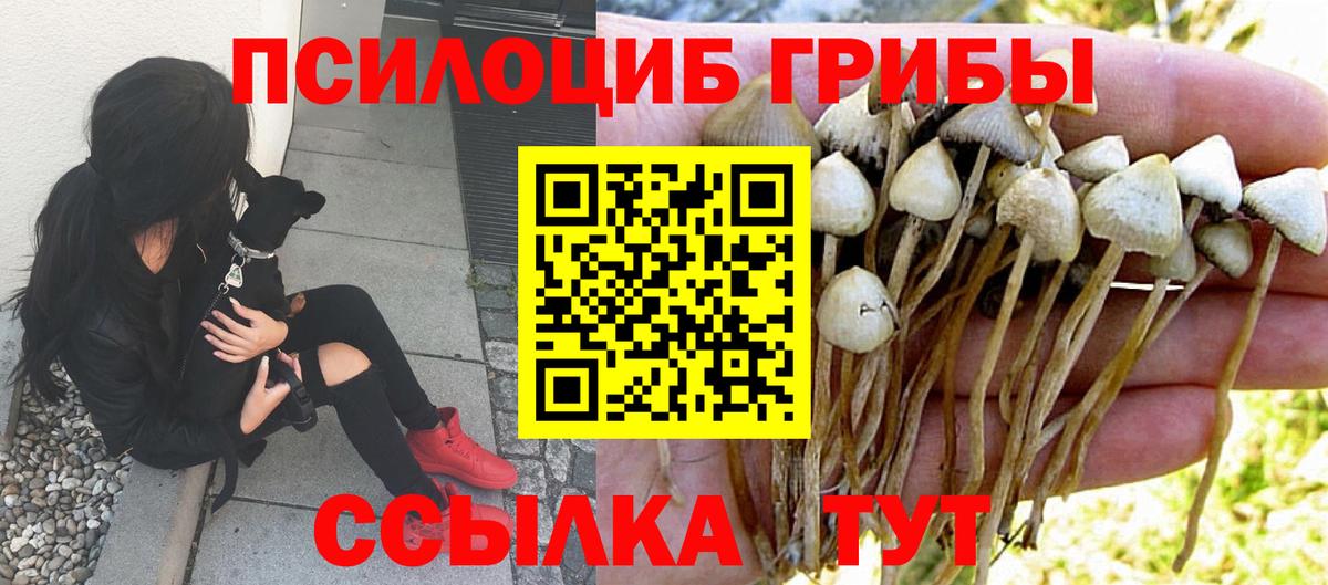 сколько стоит  Вход с VPN  Галлюциногенные грибы Magic Shrooms  Конаково  Псилоцибиновые грибы Psilocybe 